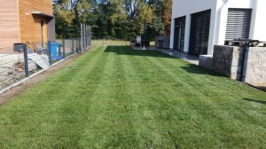 Referenzen Rollrasen - Florian Lehner - Garten und Landschaftsbau in Landshut